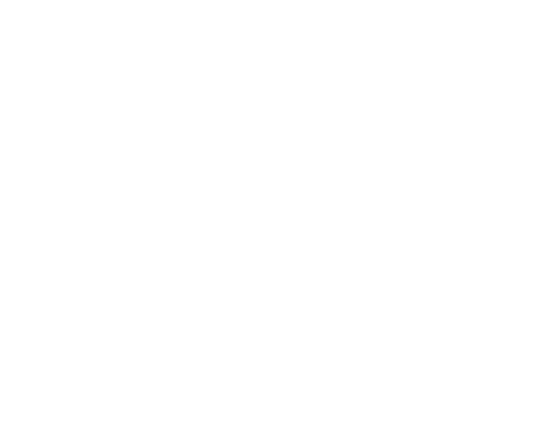 GatoEstepario